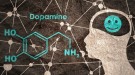 Dopamin Hormonu Doğal Yollarla Nasıl Artırılır?