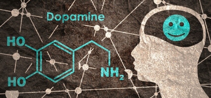 Dopamin Hormonu Doğal Yollarla Nasıl Artırılır?